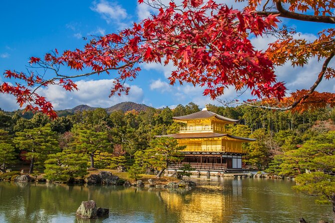 Kyoto and Nara 1 Day Bus Tour - Tour Schedule