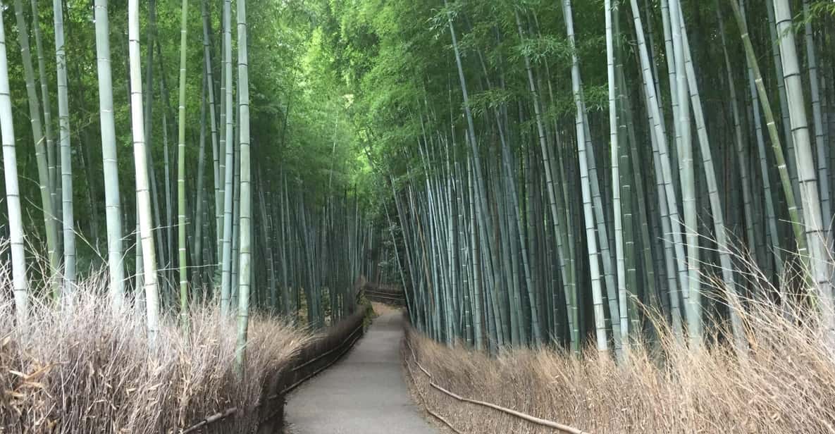 Kyoto, Arashiyama: Bamboo Grove Half-Day Private Guided Tour - Itinerary
