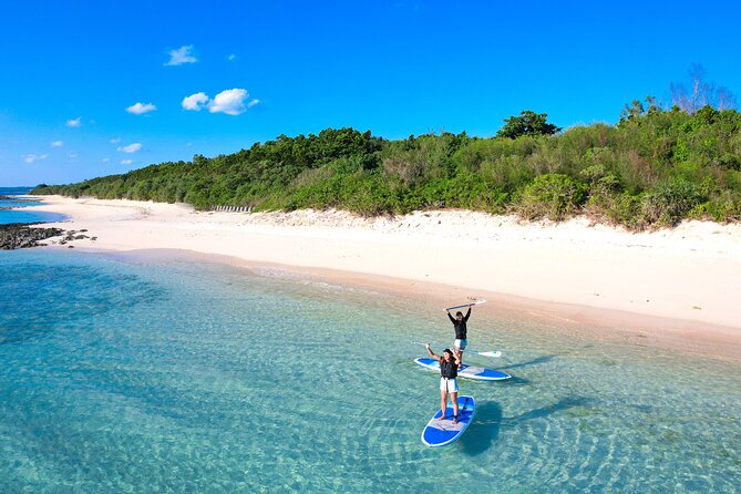 Miyako Two Activities in Half Day SUP and Sea Turtle Snorkeling - Booking Confirmation