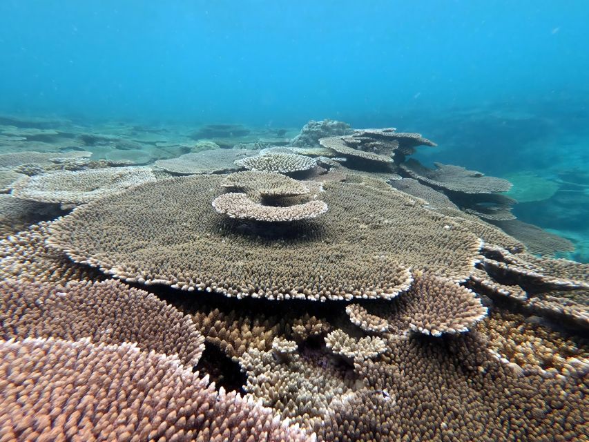 Motobu: Kayak and Snorkel Private Booking - Tour Information