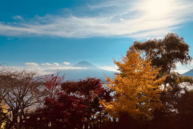 Mount Fuji Panoramic View & Shopping Day Tour - Transportation Guidelines