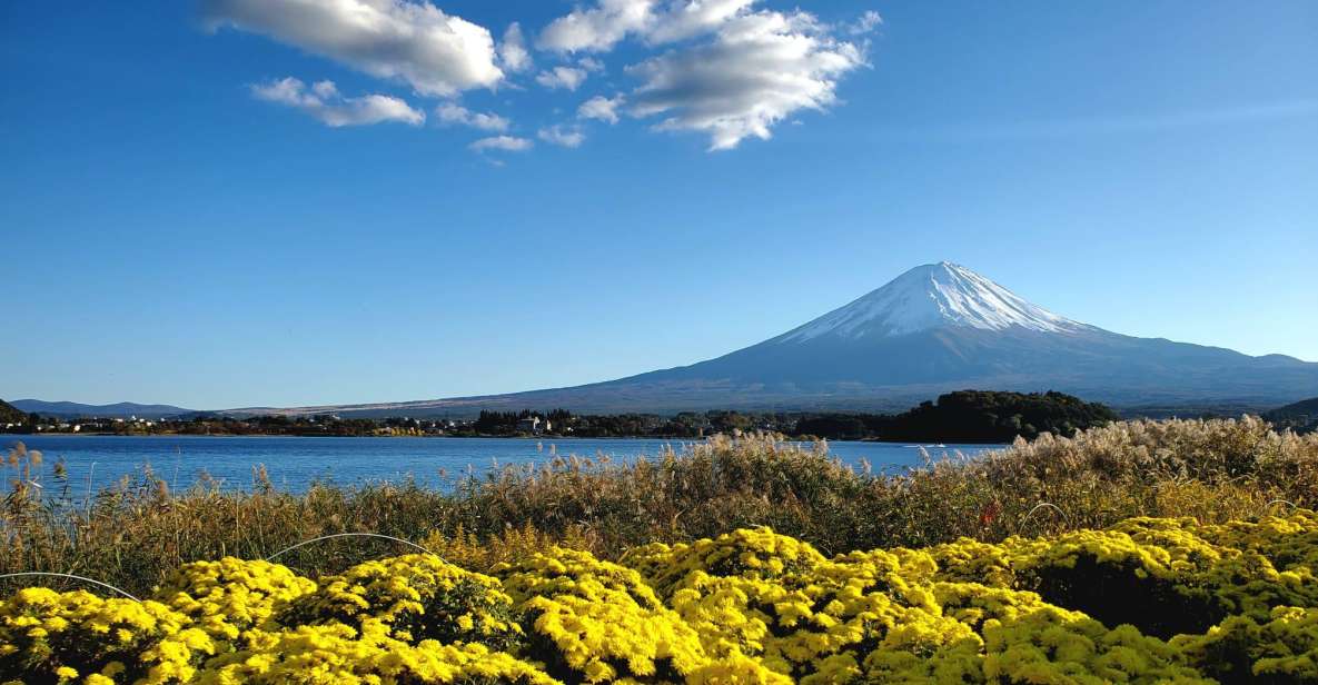Mt Fuji: Full Day Private Tour With English Guide - Itinerary