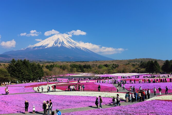 Mt. Fuji, Hakone Full-Day Private Tour With English Driver Guide - Traveler Ratings and Reviews