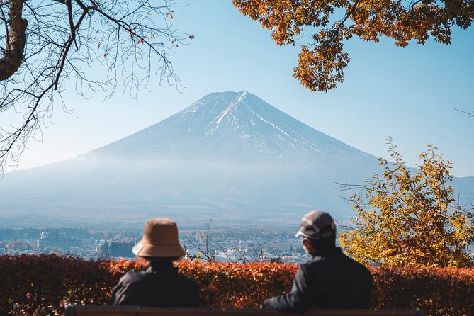 Mt Fuji, Hakone Private Tour by Car With Pickup - Vehicle Options
