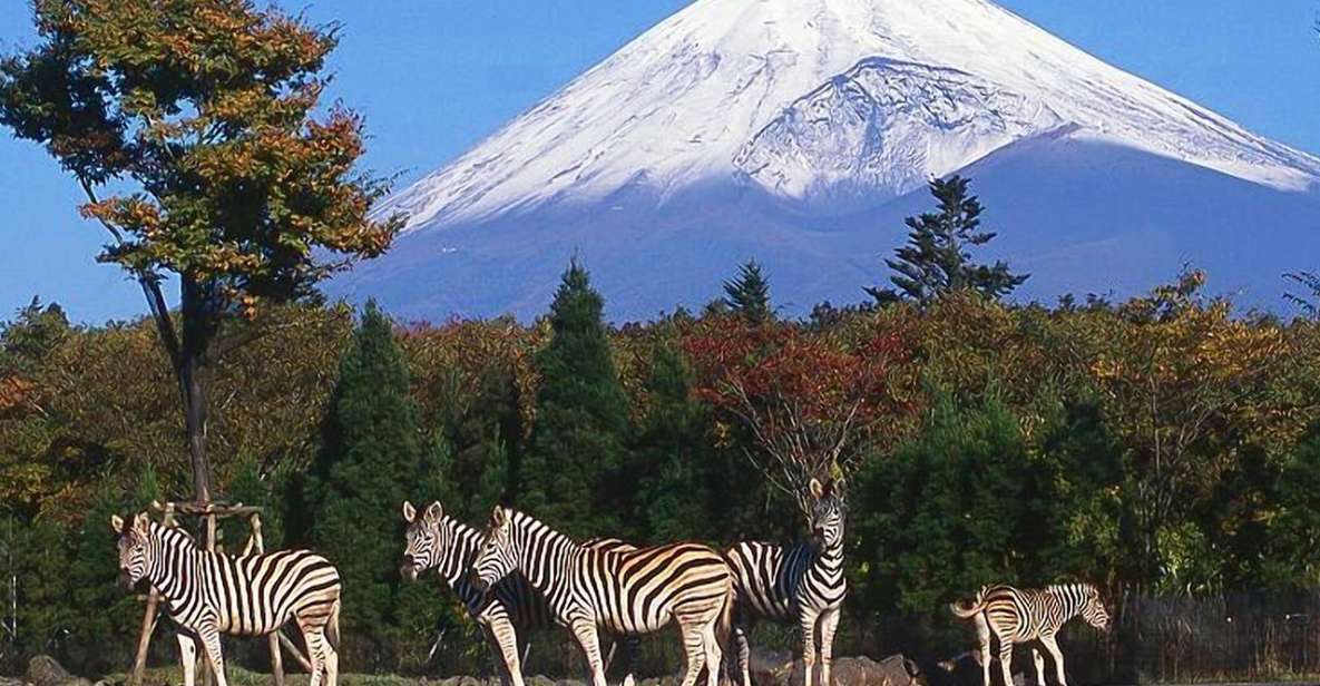 Mt Fuji : Highlight Tour and Unforgettable Experience - Highlights
