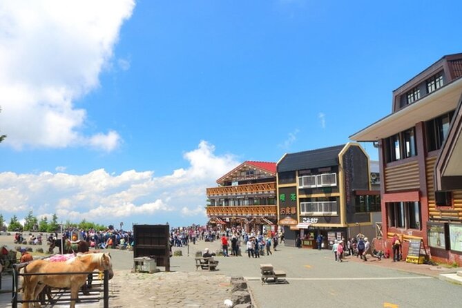 Mt. Fuji, Mt Fuji Panoramic Ropeway & Seasonal Fruits Picking - Traveler Experience Insights