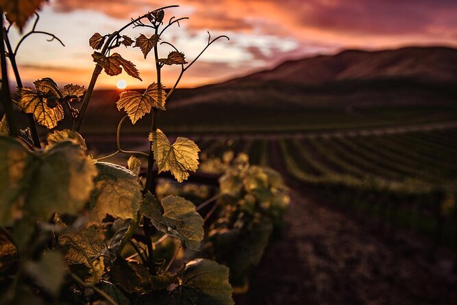 Mt Fuji Wineries Half-Day Tour - Inclusions