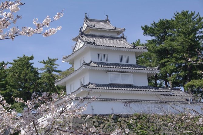 Nagasaki City to Nagasaki International Airport Private Departure Transfer - Meeting and Pickup Information