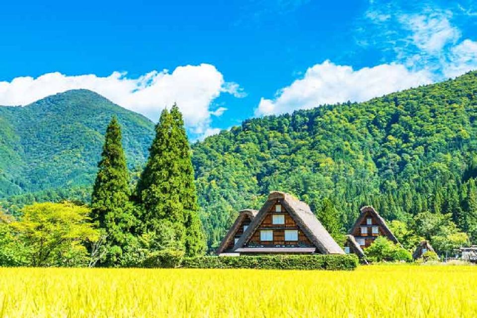 Nagoya: Shirakawa-go Village and Takayama UNESCO 1-Day Trip - Itinerary Highlights