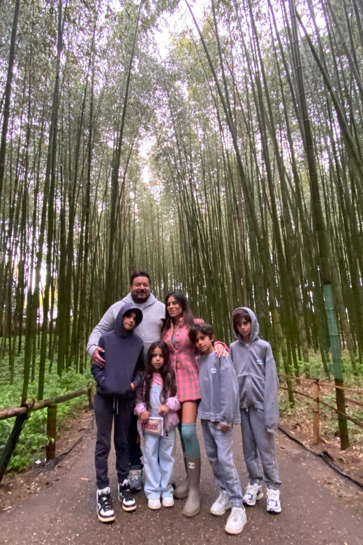 Nara and Kyoto Tour - Tour Highlights