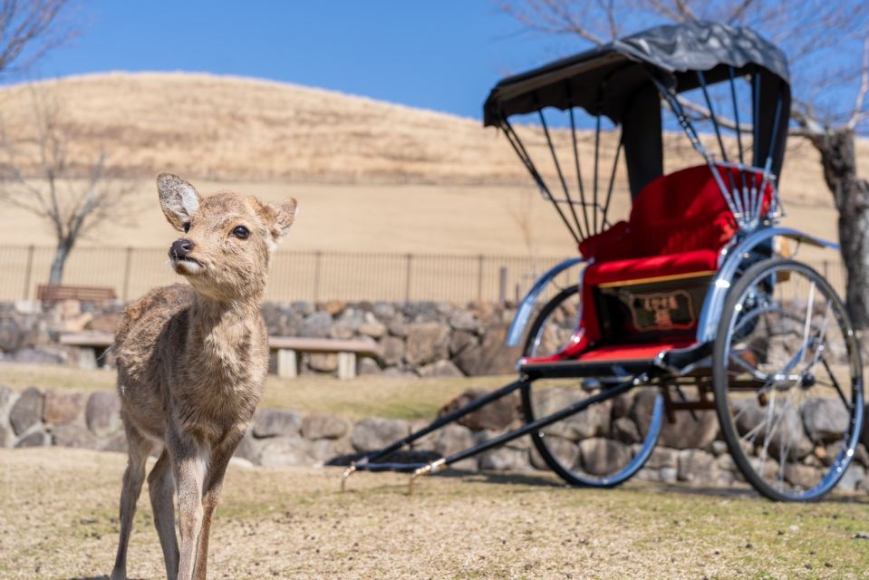 Nara: Cultural Heritage Tour by Rickshaw - Duration and Languages Offered