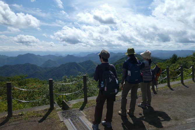 Old Nakasendo Trekking From Karuizawa-Beyond Sugahi Pass to Sakamoto Hotel - Included Services