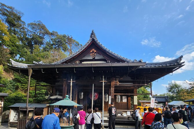 One Day Private Tour of Kyoto City With English Driver - Traveler Experience