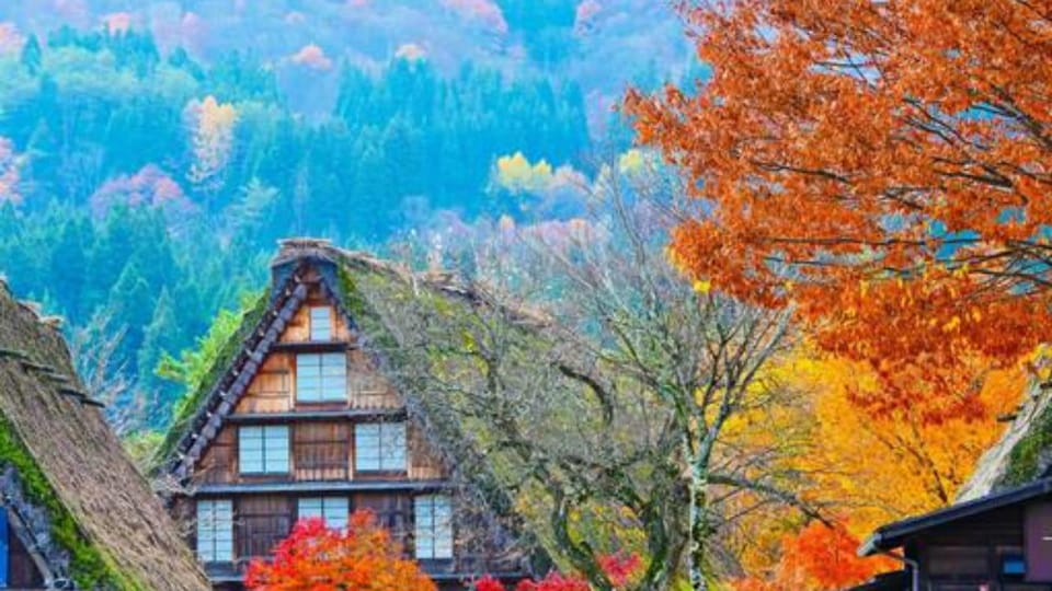 One Day Private Tour to Shirakawa-go & Takayama - About the Activity