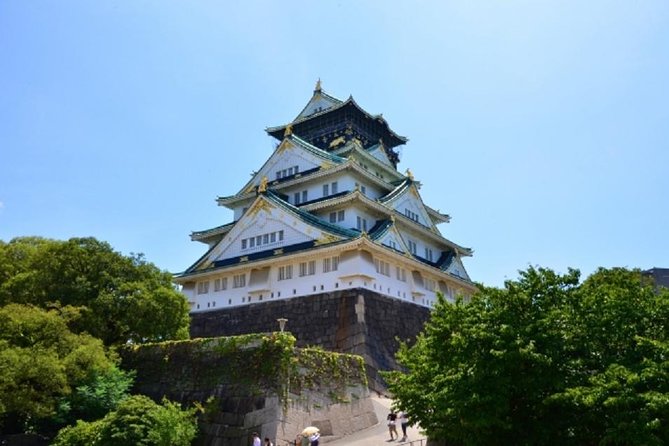 Osaka Private Tour by Public Transportation From Kyoto - Sightseeing Highlights