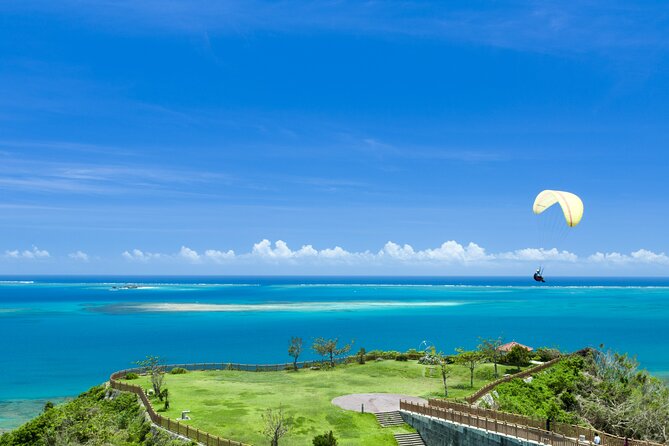 Port Pick-Up: Naha Private Tour Licensed Guide& Vehicle - Booking Details and Accessibility