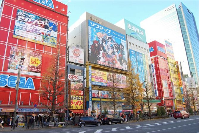 Private Akihabara Anime Guided Walking Tour - Reviews and Ratings