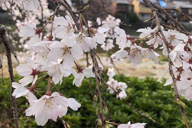 Private Car Tour in Kyoto (Up to 4) - Pricing Details