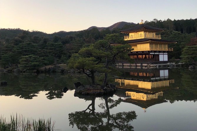 Private Car Tour in Kyoto (Up to 9) - Reviews