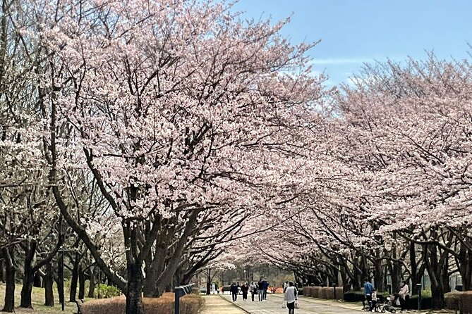 Private Full-Day Cherry-Blossom Tour of Tokyo With Tsukiji - Inclusions and Logistics