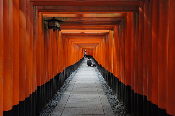 Private Full Day Tour in Kyoto With a Local Travel Companion - Pick-up and Transportation