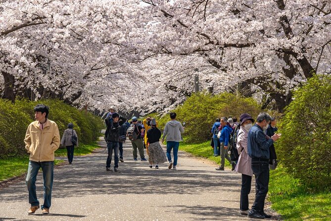 Private Hiroshima Cherry Blossom and Sakura Experience - Private Tour Specifics
