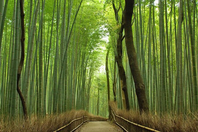 Private Kyoto Arashiyama Custom Half-Day Tour by Chartered Vehicle - Customizable Itinerary Options