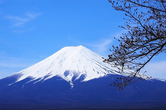 Private Mount Fuji Tour From Narita Airport /Haneda Airport/Tokyo - Inclusions