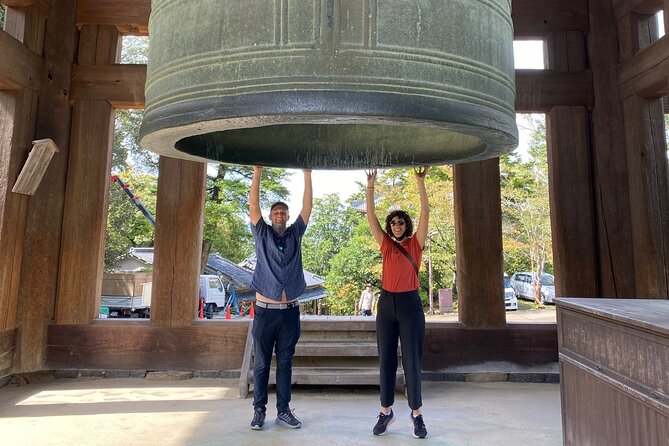 Private Nara Tour With Government Licensed Guide & Vehicle (Osaka Departure) - Experience Details