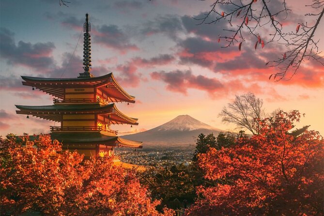 Private Sedan One-Day Mount Fuji Tour - Itinerary Overview
