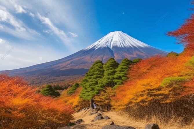 Private Transport Mt Fuji and Hakone 1 Day Trip - Booking Process and Availability