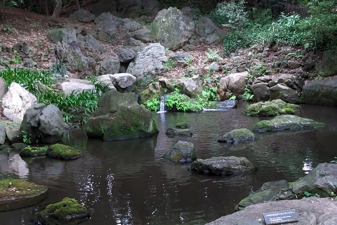 Private Walking Tour, Tokyo Great Buddha, Botanical Garden, Etc. - Transportation and Walking Distance