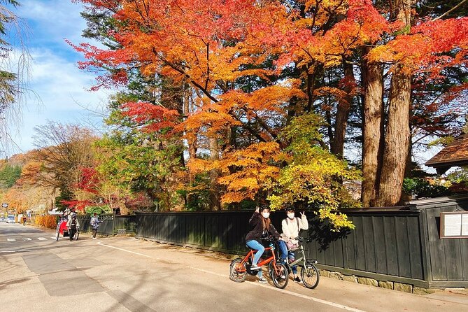 Rental Bicycle With Electric Assist / Satoyama Cycling Tour - Scheduling Options