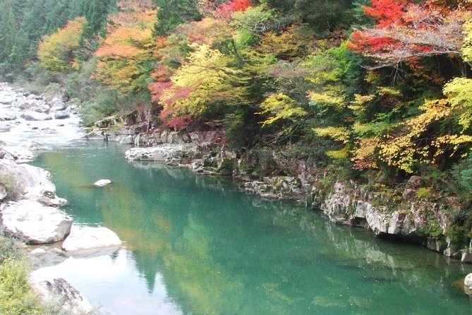 Shirakawa-go and Satoyama Culture - Traditional Architecture of Gassho-zukuri Farmhouses
