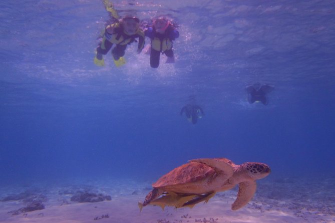 Swim With Sea Turtles at Kerama Islands - Cancellation Policy Details
