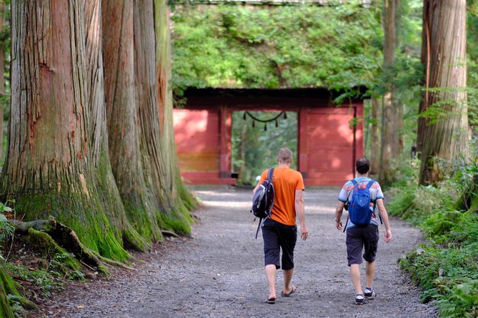 Togakushi Shrine Hiking Trails Tour in Nagano - What To Expect