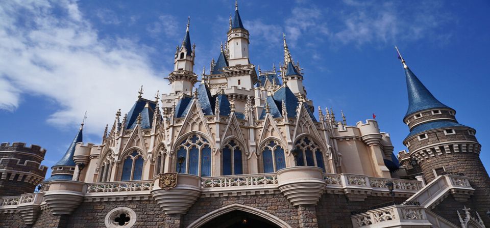 Tokyo Disneyland: 1-Day Entry Ticket and Private Transfer - Experience Highlights