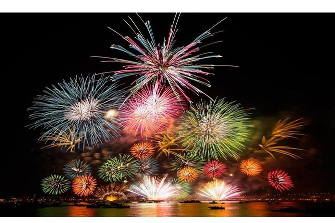 Tokyo Disneyland Private Transfer : From Tokyo to Disneyland (One Way) - Meeting and Pickup Information