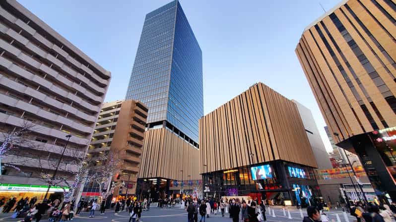 Tokyo: Full Day Private Tour With English Driver - Tour Itinerary