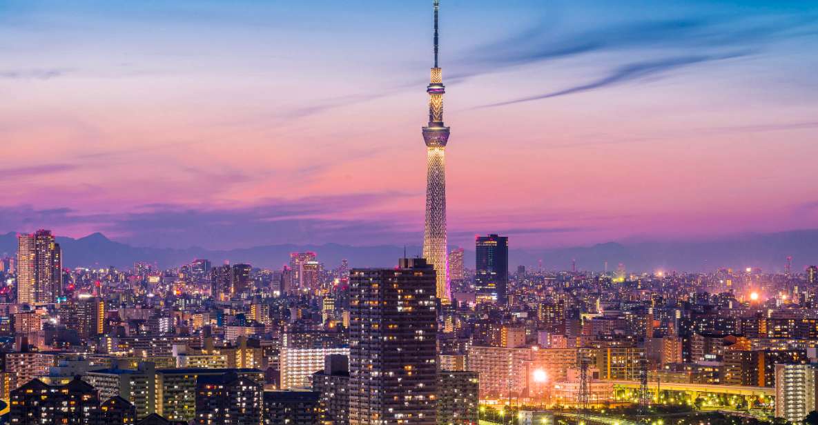 Tokyo: Full-Day Private Tour With English Guide - Activity Description