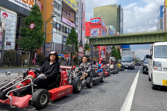 Tokyo Go-Kart Rental With Local Guide From Akihabara - Inclusions and Services
