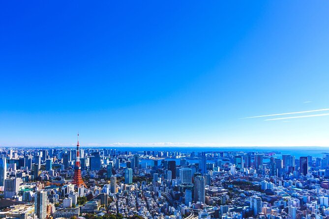 Tokyo Helicopter Ride: 3 Flight Durations & Mt. Fuji Option - Mt. Fuji Scenic Option