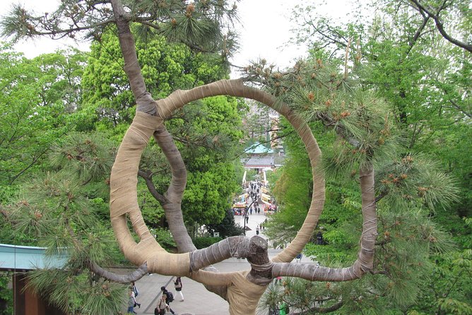 Tokyo Highlights, Asakusa, Ueno, Yanaka Walking - Discovering Uenos Treasures