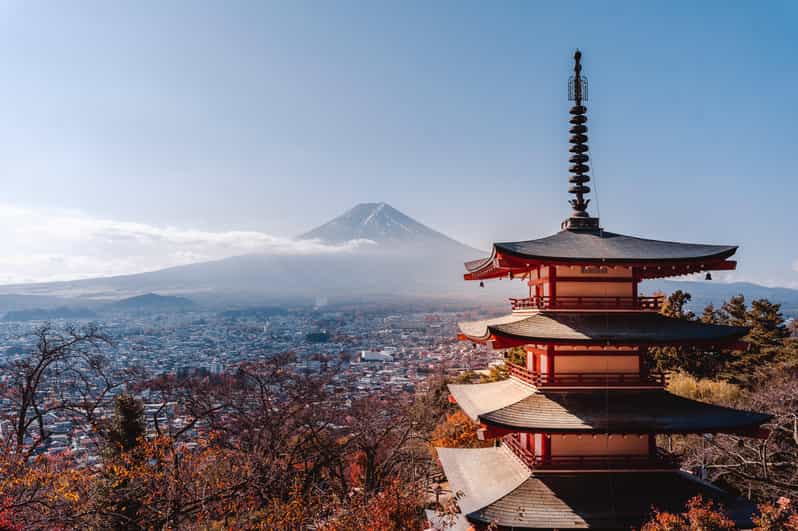 Tokyo: Mount Fuji Customizable Private Tour by Car - Customer Reviews