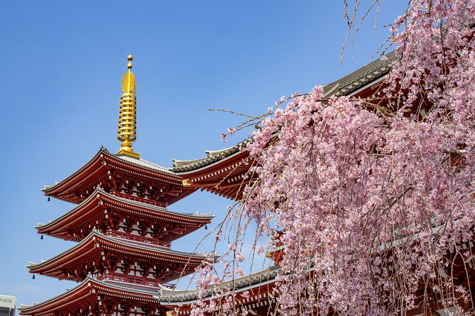 Tokyo Personalized Full-day Tour Led by a Local Expert - Inclusions
