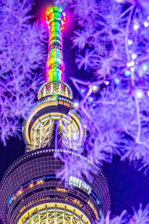 Tokyo Private Night Tour With English Speaking Guide by Car - Itinerary