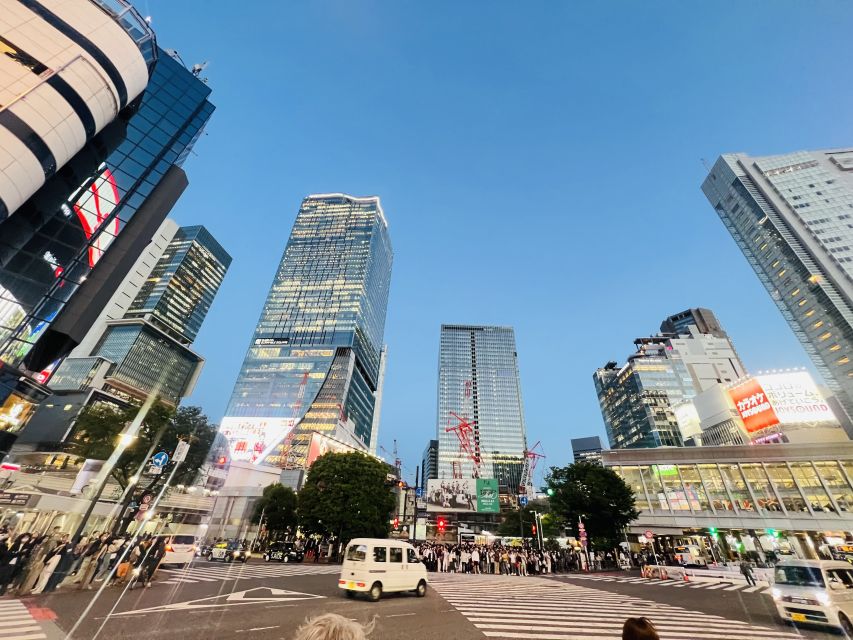 Tokyo Private Sightseeing Customizable Day Tour by Car & Van - Experience & Itinerary