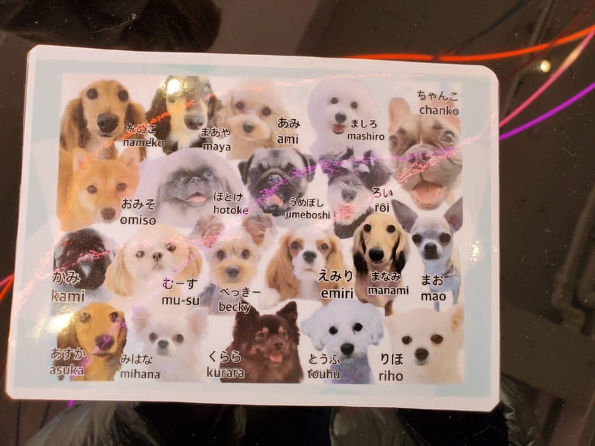 Tokyo Private Tour - Experience