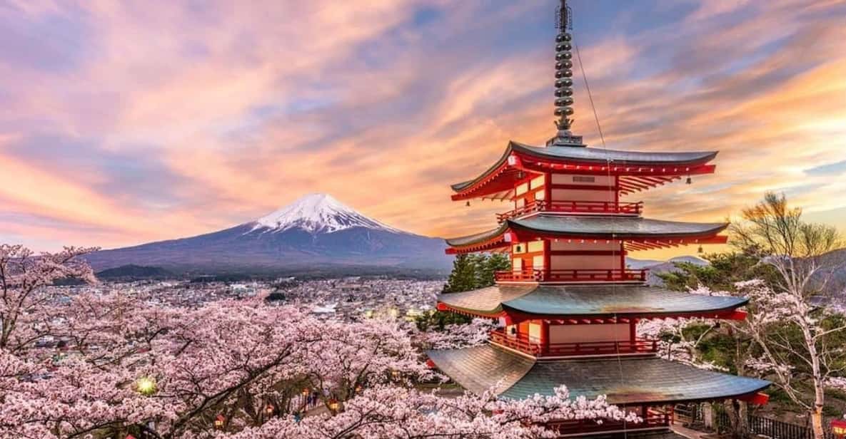 Tokyo:Private Mt Fuji Sightseeing Tour With English Driver. - Itinerary
