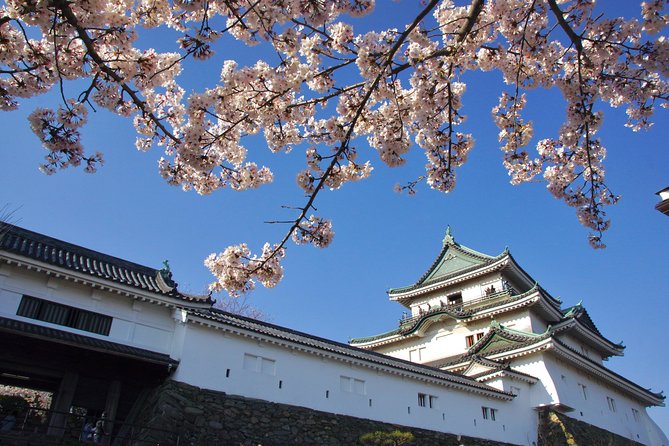 Wakayama Castle Town Walking Tour - Tour Inclusions and Exclusions